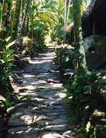 Pathway